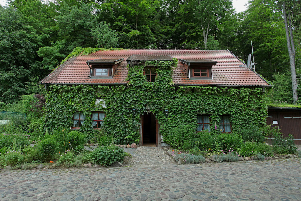 Hotel Boltenmuehle Guhlen Glienicke Quarto foto
